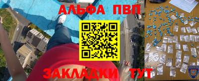 прущие грибы Гусиноозёрск