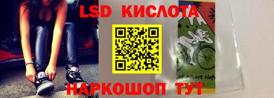 прущие грибы Гусиноозёрск