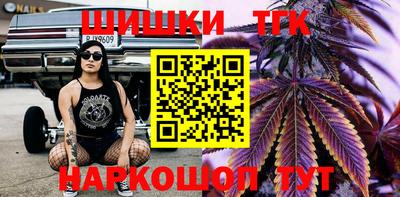 прущие грибы Гусиноозёрск
