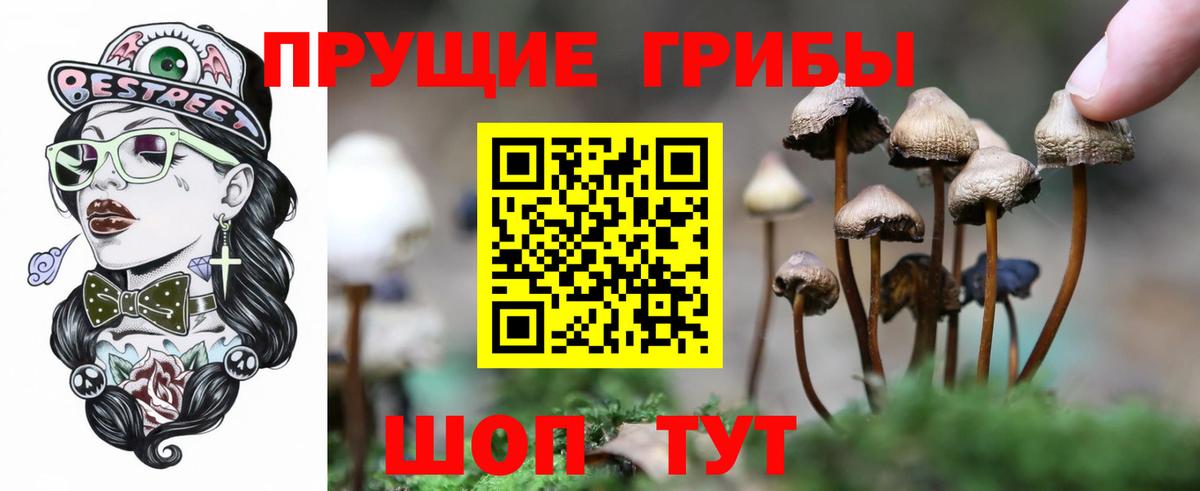 Псилоцибиновые грибы GOLDEN TEACHER Нерюнгри